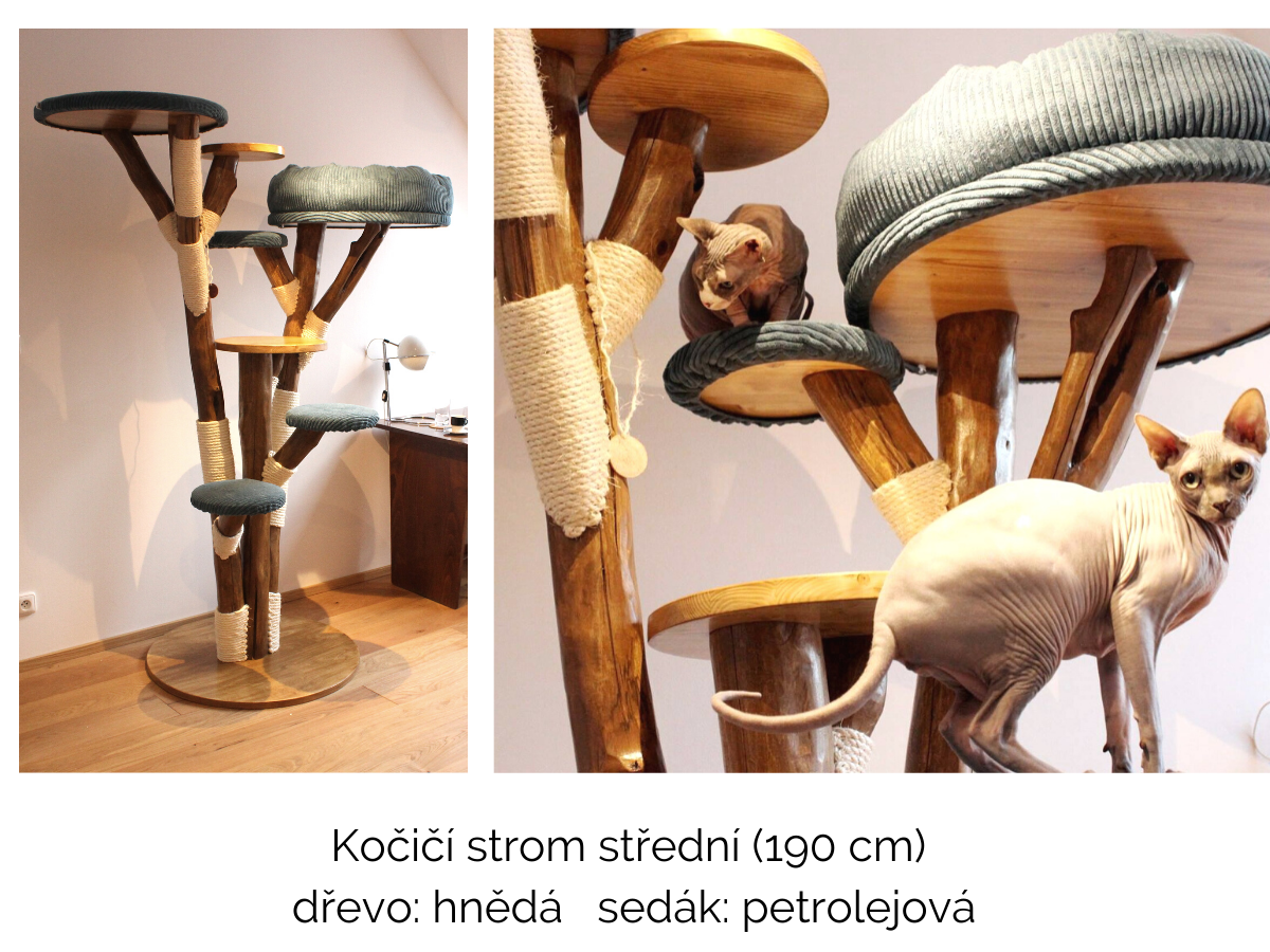 Kočičí-strom-stredni-190-cm-hneda-sedak-petrolejova