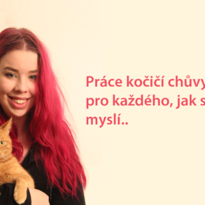 Kočičí chůva Anna: musím umět zaujmout každou kočku...