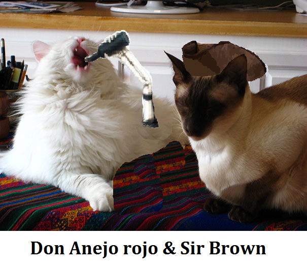 Don anejo rojo a Sir Brown