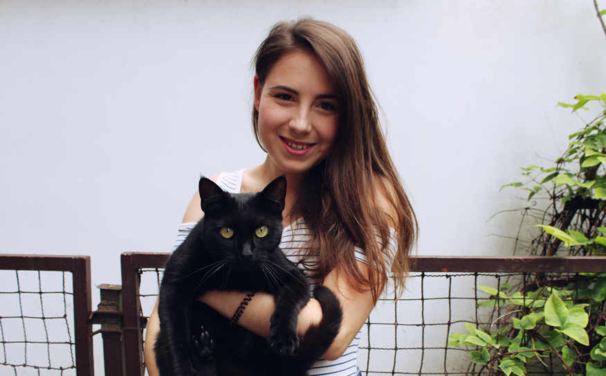 LUCY THE CAT-SITTER: Cuddling cats for money